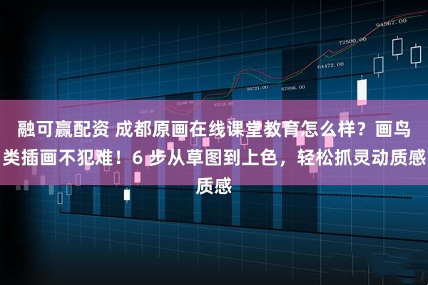 融可赢配资 成都原画在线课堂教育怎么样？画鸟类插画不犯难！6 步从草图到上色，轻松抓灵动质感