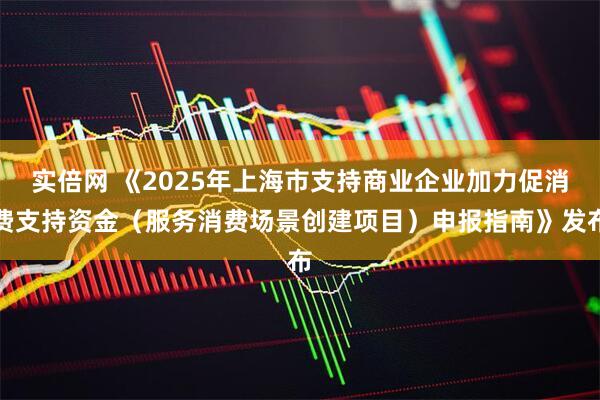 实倍网 《2025年上海市支持商业企业加力促消费支持资金（服务消费场景创建项目）申报指南》发布